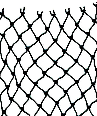 210/48 x 1-7/16in x 290md Prawn Web (sold by the foot)