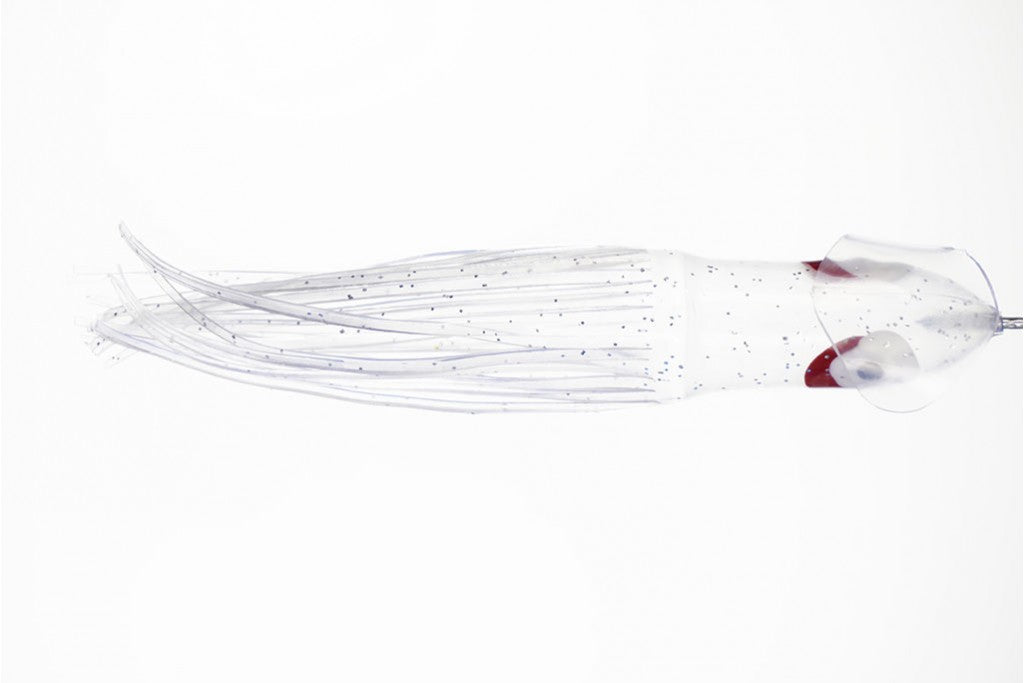 NORTH PACIFIC CUTTLEFISH B103