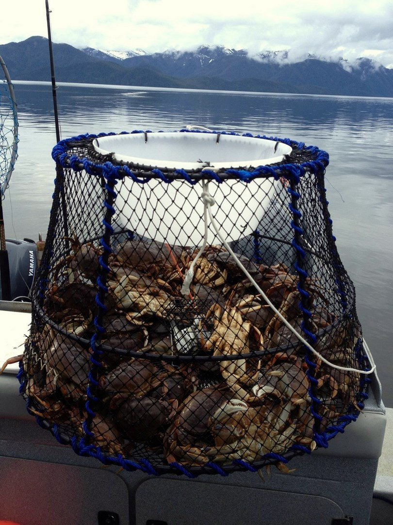 Sealtek Tanner Crab & Prawn Trap 39" - Prawn Web