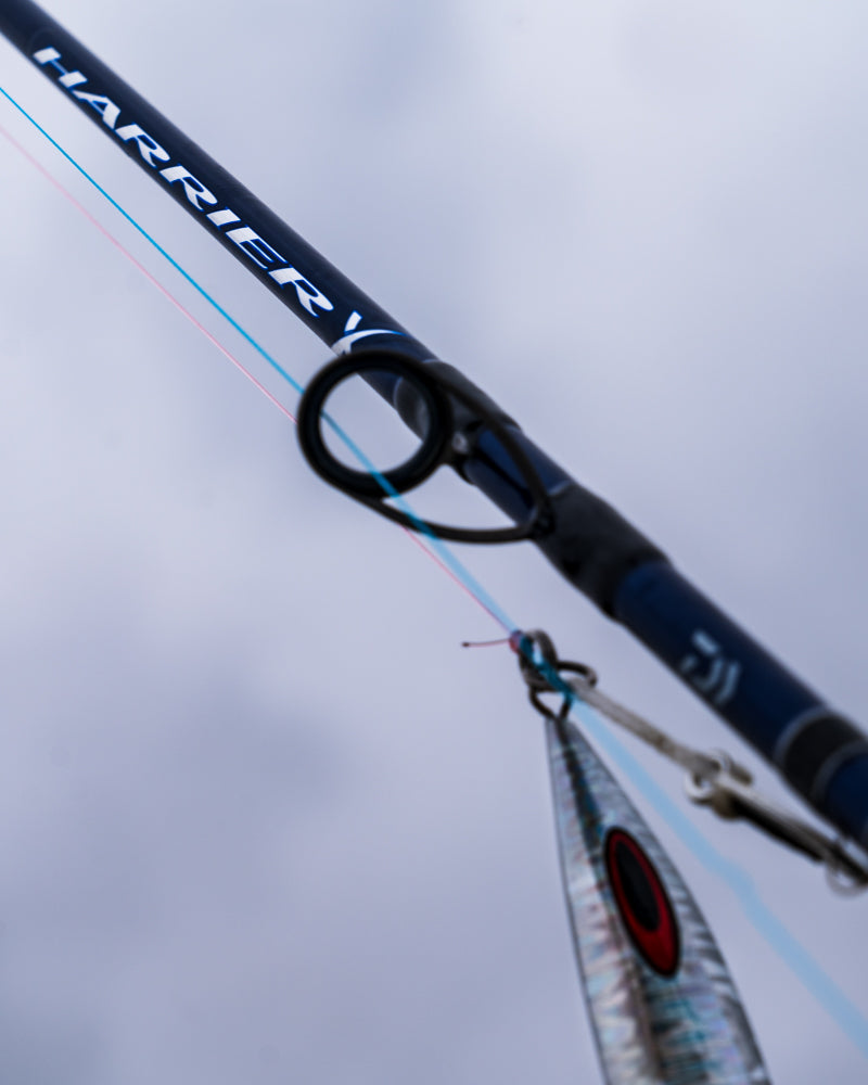 Daiwa Harrier X Jigging Rods