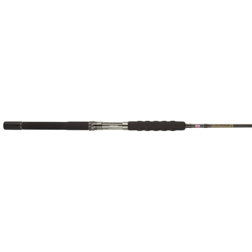 Penn Carnage II Boat Conventional Rod