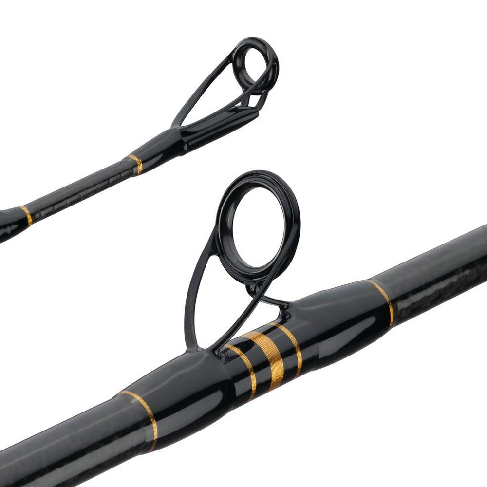 Penn Carnage II Boat Conventional Rod