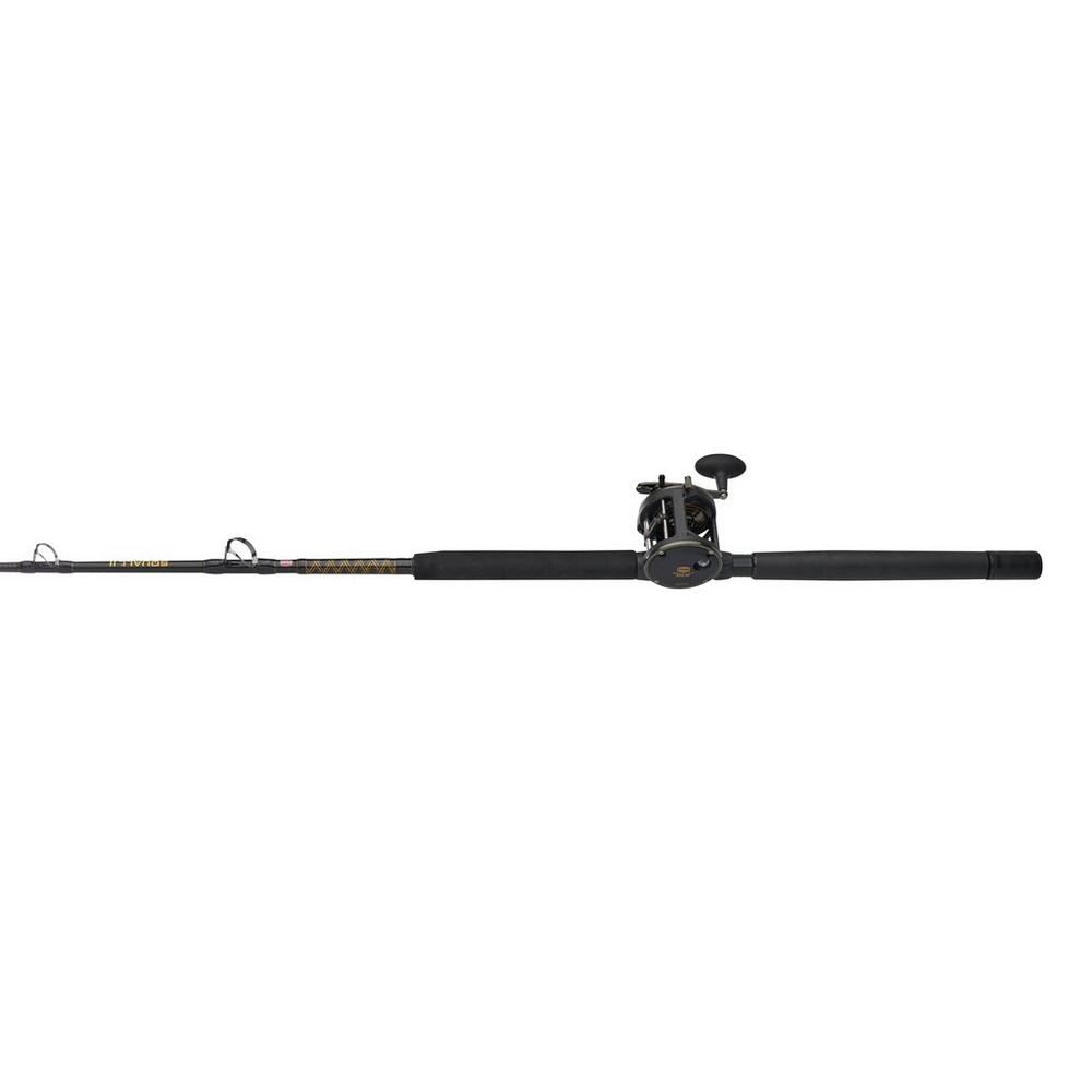Penn Squall II Level Wind Combo SQLII30LW2050C66
