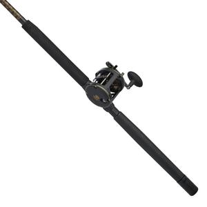 Penn Squall II Level Wind Combo SQLII30LW2050C66