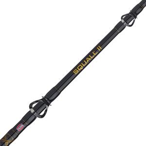 Penn Squall II Level Wind Combo SQLII30LW2050C66