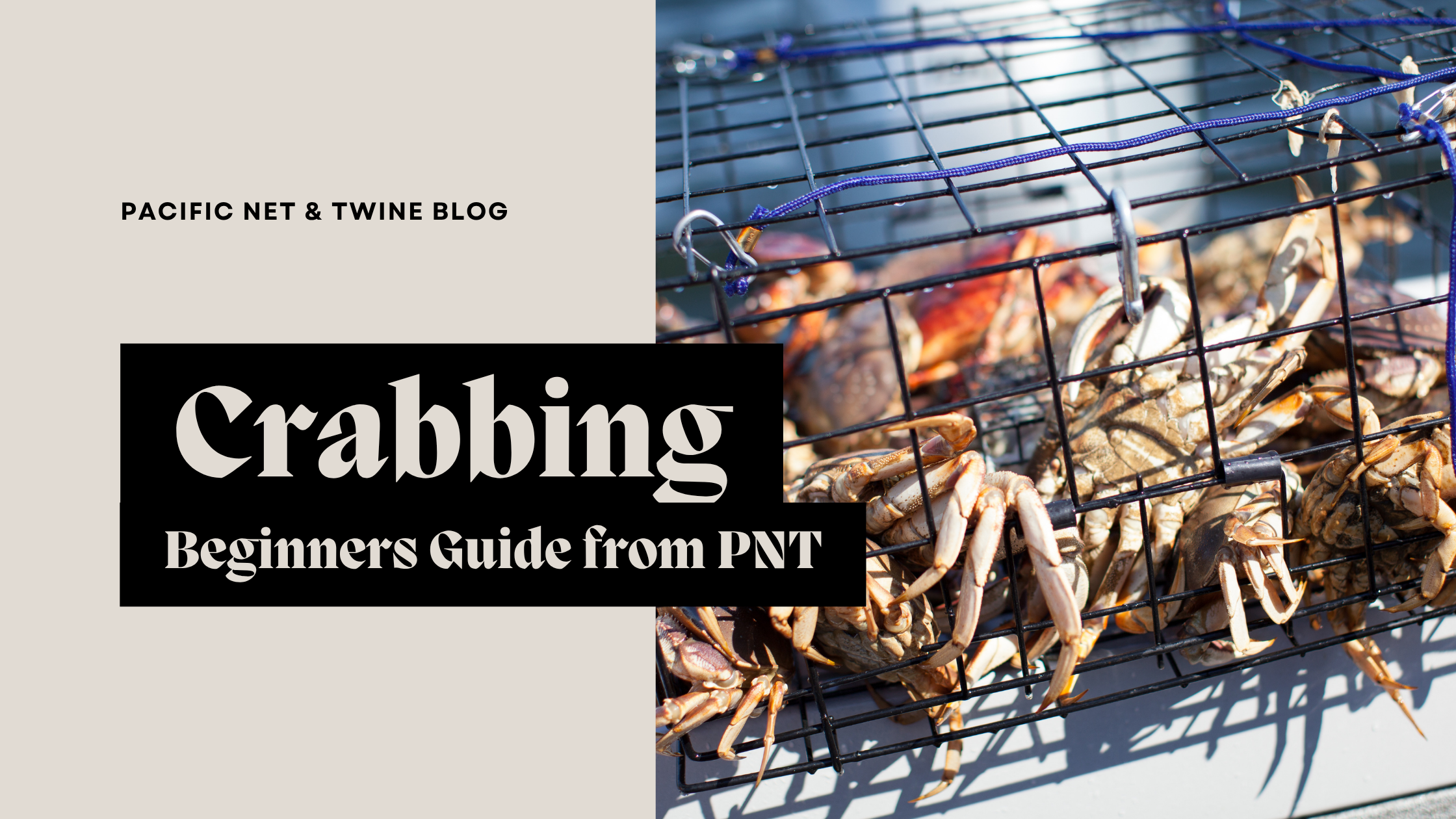 Beginner’s Guide to Crabbing in BC | Pacific Net & Twine