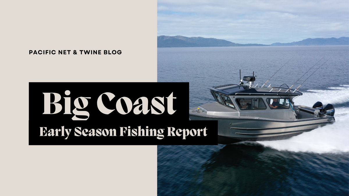 Big Coast: Early Season Report