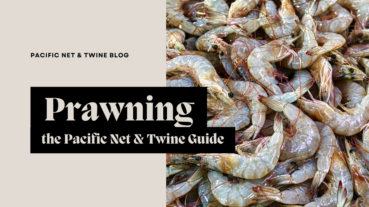 Prawning in British Columbia | Pacific Net & Twine Guide