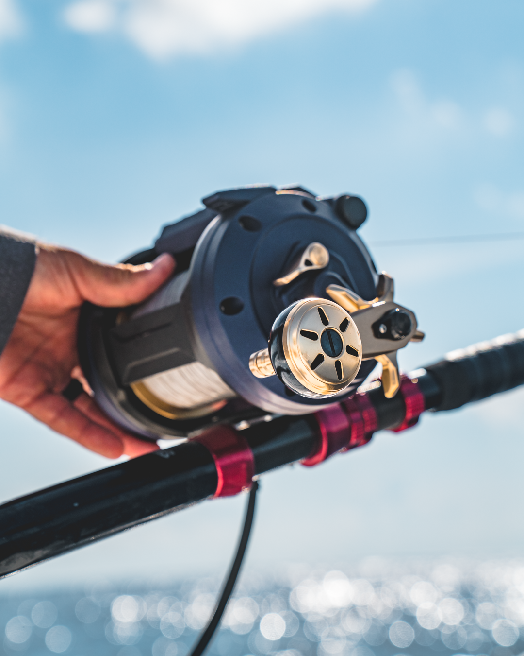 DAIWA SEA POWER REEL