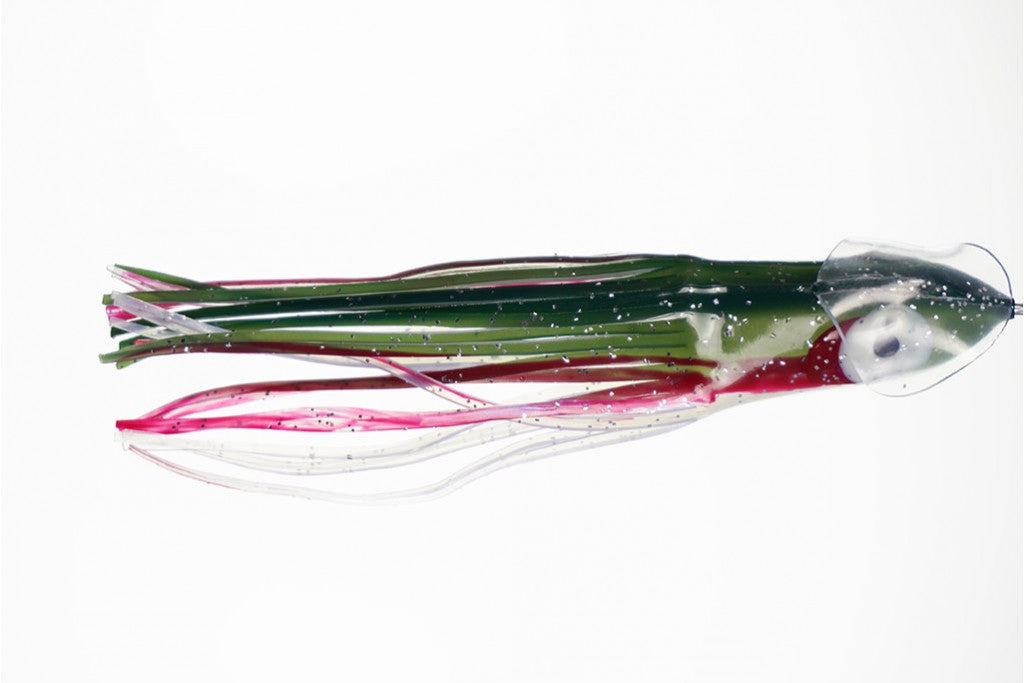 NORTH PACIFIC CUTTLEFISH G79OA