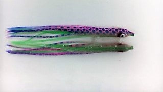 NORTH PACIFIC NEEDLE FISH AS17R