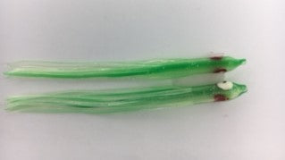 NORTH PACIFIC NEEDLE FISH G22