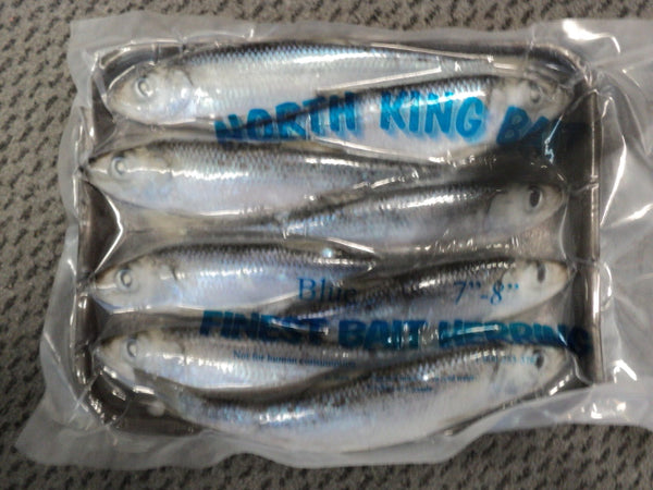 North King Herring Tray/Case - Frozen Bait