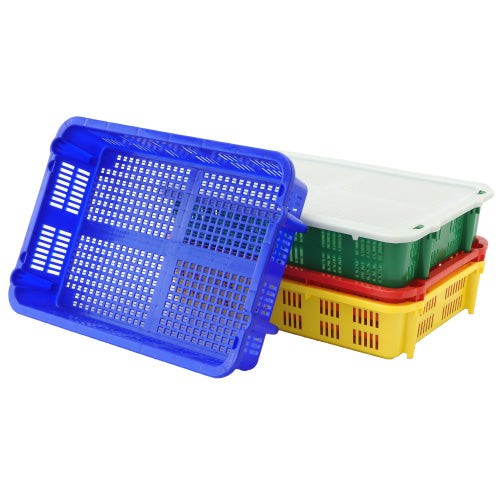 Fish Totes Fish Totes