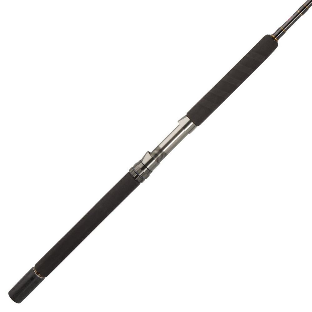 Penn Carnage II Boat Conventional Rod