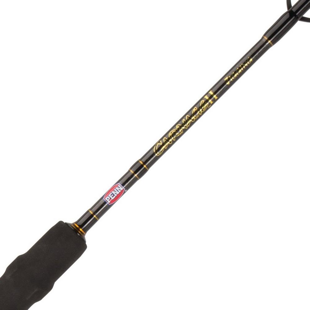 penn carnage ii jigging spinning fishing rod Penn Carnage II Jig Conventional Rod