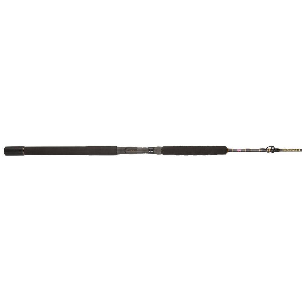 penn carnage ii surf casting fishing rod Penn Carnage II Jig Conventional Rod